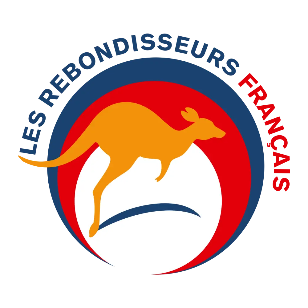Logo Les rebondisseurs français
